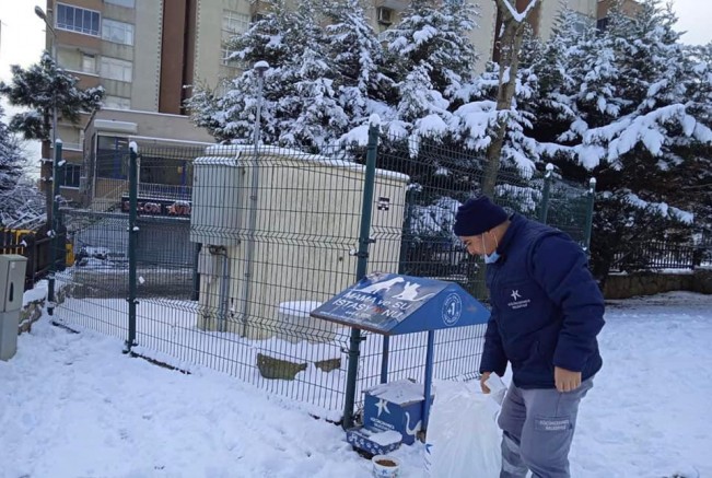 Başkan Çebi Karlı Günlerde Sokak Hayvanları Unutulmadı