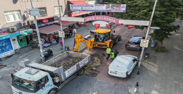 Ali Fuat Başgil Caddesi de yenileniyor