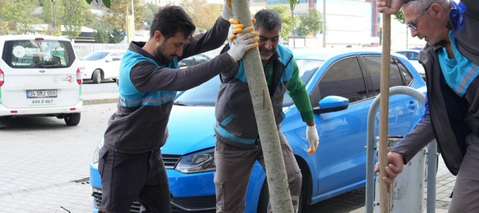 Gaziosmanpaşa’da Yeşil Alanlar İçin Yeni Dikim Çalışması