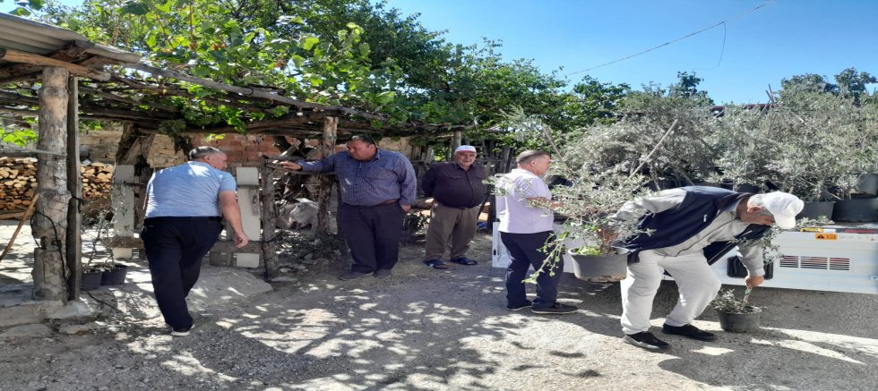 EDREMİT’TEN ÇANAKKALE’YE 250 ZEYTİN FİDANI