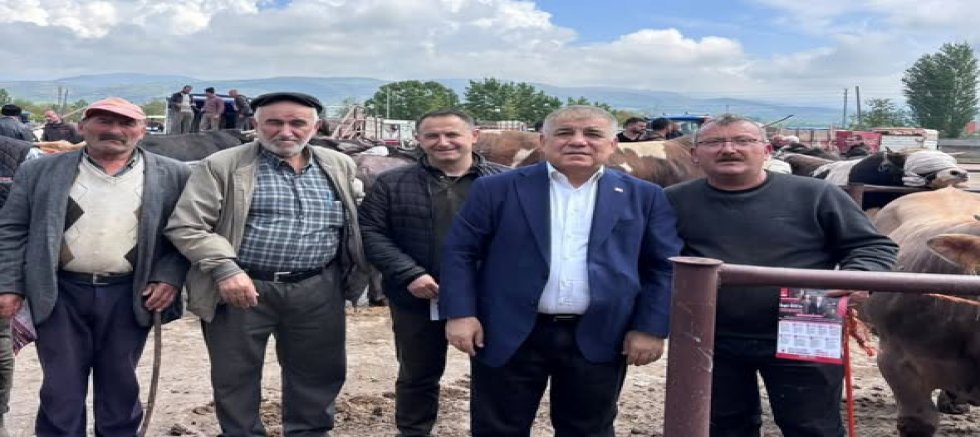 Gümüşhacıköy Hayvan Pazarı’nda Geçim Sıkıntısı Gündemde