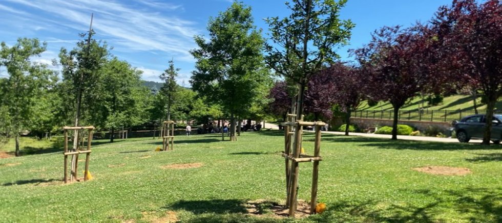 İBB, PARK VE BAHÇELERE MEYVE AĞAÇLARI DİKİYOR