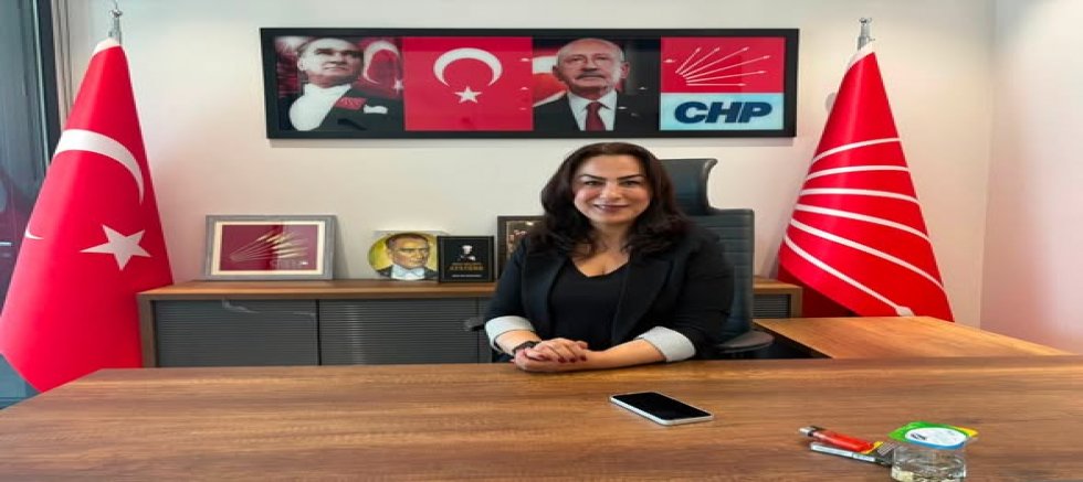 Sıcak Gelişme: Gürsel Tekin'den Yeni Atama! CHP İstanbul İl Kadın Kolları Başkanı Sevgi Düzgün Oldu