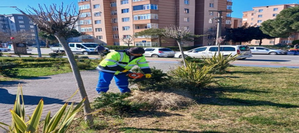 Silivri Belediyesi çevre düzenleme çalışmalarını sürdürüyor