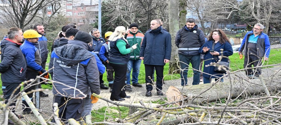 TEKE BÖCEĞİ İLE MÜCADELE KAPSAMINDA YEŞİL DÖNÜŞÜM