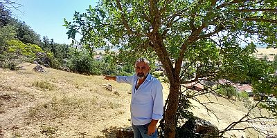 Aday Adayları Heyecanla Yerel Seçimlere Hazırlanıyor: Şeyh Köyü Muhtar Adayı Durmuş Acar’dan Projeler ve Taahhütler