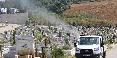 ASYA KAPLAN SİVRİSİNEĞİNE KARŞI EN ETKİLİ YÖNTEM  TÜRKİYE’DE İLK KEZ İBB KULLANIYOR…