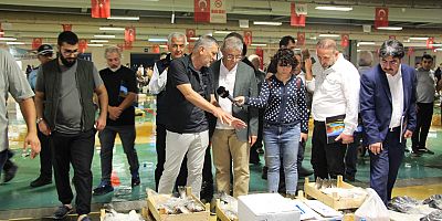 BALIK SEZONU BAŞLADI  DENİZDE PALAMUT BOLLUĞU ESNAFIN YÜZÜNÜ GÜLDÜRDÜ