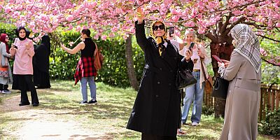 BALTALİMANI JAPON BAHÇESİ’NDE EŞSİZ BİR İLKBAHAR DENEYİMİ
