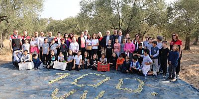 BAŞKAN ARSLAN ÖĞRENCİLERLE ZEYTİN HASADI YAPTI