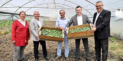 Başkan Balcıoğlu, Gazitepe Mahallesi'nde tarım alanlarını ziyaret etti