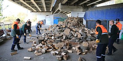 Bayrampaşa’da budanan ağaçlar, vatandaşa yakacak olarak dağıtılıyor