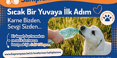 Bayrampaşa’da ‘can dostlar’ yuvalarını bekliyor