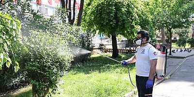 Bayrampaşa’da sineklere karşı yoğun mesai