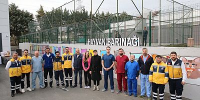 Bayrampaşalı öğrenciler, ‘can dostlarımız’ için resim yaptı