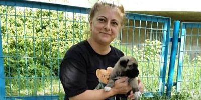 Beşiktaş Belediye Başkan Vekili Rasim Şişman’dan Nuran Korkmaz Başyurt İçin Taziye Mesajı