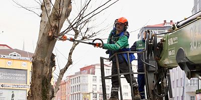 Budama Çalışmalarımızla Bahara Hazırlanıyoruz