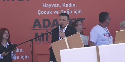 CHP İstanbul İl Başkanı Çelik: ''Kadın katliamlarının da doğa ve çevre katliamlarının da hayvan katliamlarının da karşısındayız''