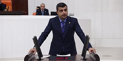 CHP'li Deniz Demir: 