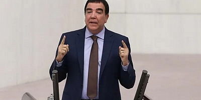 CHP’li Erdoğan Toprak'tan Nevruz Bayramı mesajı
