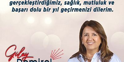 CHP'li Gülay Demirel'den Yeni Yıl Mesajı