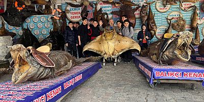 Çocuklar yarıyıl tatilini Türkiye Deniz Canlıları Müzesi’nde geçirdi