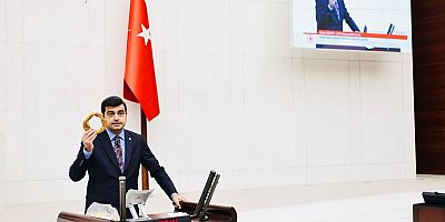 DENİZ DEMİR BİTLİS’İN MUTKİ İLÇESİNDEKİ SEÇİM USULSÜZLÜKLERİNİ TBMM'YE TAŞIDI