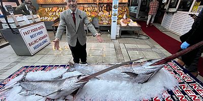 DEV KILIÇ BALIKLARI 2 GÜN SERGİLENİP MUMYALANACAK