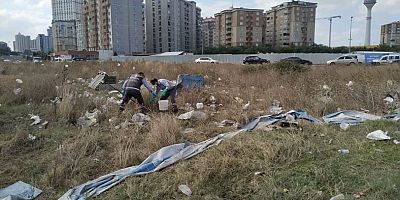 ESENYURT’TAKİ KEMİRGEN SORUNUNA HIZLI MÜDAHALE