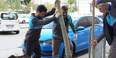 Gaziosmanpaşa Belediyesi