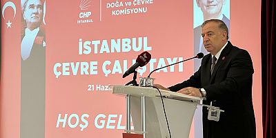 Gökan Zeybek'ten zeytinlikleri madenciliğe açacak kanun teklifine tepki: 