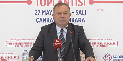 Gökan Zeybek: 