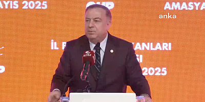Gökan Zeybek: 