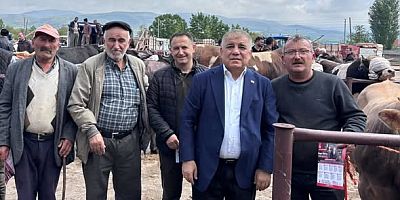 Gümüşhacıköy Hayvan Pazarı’nda Geçim Sıkıntısı Gündemde