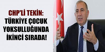 Gürsel Tekin, “Türkiye çocuk yoksulluğunda ikinci sırada