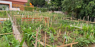 HALK BOSTANLARININ SAYISI ARTACAK