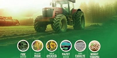 İBB ve Silivri Belediyesi iş birliğiyle talep toplama süreci başlıyor