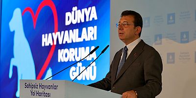 İMAMOĞLU: TEK BİR SOKAK HAYVANININ BİLE UYUTULMASINA ASLA İZİN VERMEYECEĞİZ