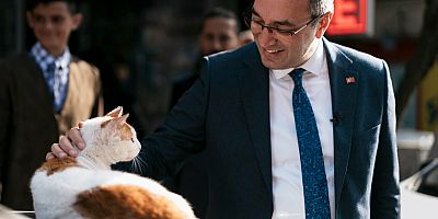 İstanbul Büyükşehir Belediyesi Genel Sekreter Yardımcısı Mahir Polat tahliye edildi