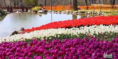 İSTANBUL’DA RENK CÜMBÜŞÜ LALE BAYRAMI 11-12 NİSAN’DA KUTLANACAK