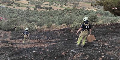 İstanbul İtfaiyesi ekipleri, Çanakkale’deki yangını söndürmek için destek verdi