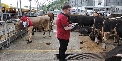 İSTANBUL KURBAN BAYRAMINA HAZIR