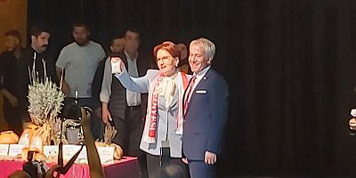 İYİ Parti Genel Başkanı Akşener, bugün Balıkesir’in Susurluk ilçesini ziyaret etti. 