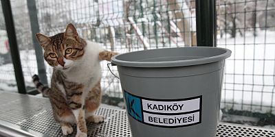Kadıköy Belediyesi’nden Kar Hazırlığı