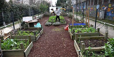 Kadıköy’de Ekolojik Yaşam Merkezi’nde Atölyeler Sürüyor
