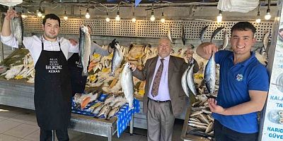 Karadeniz somonu ve palamutun fiyatları düştü