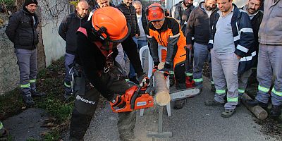 Kartal’da Budama Hizmeti ve Ağaçların Sağlığı, Eğitimli İşçilere Emanet