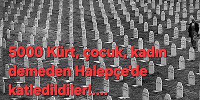 Mart Ayı Katliamları ve Tarihsel Hafıza: Dursun Bulut’tan Sert Tepki