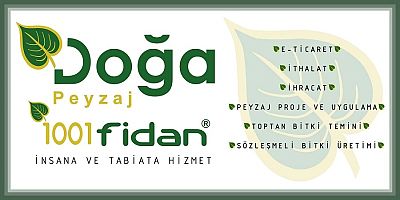 Meyve Fidanları Ne Zaman Dikilir?