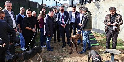 Pati parklar açıldı